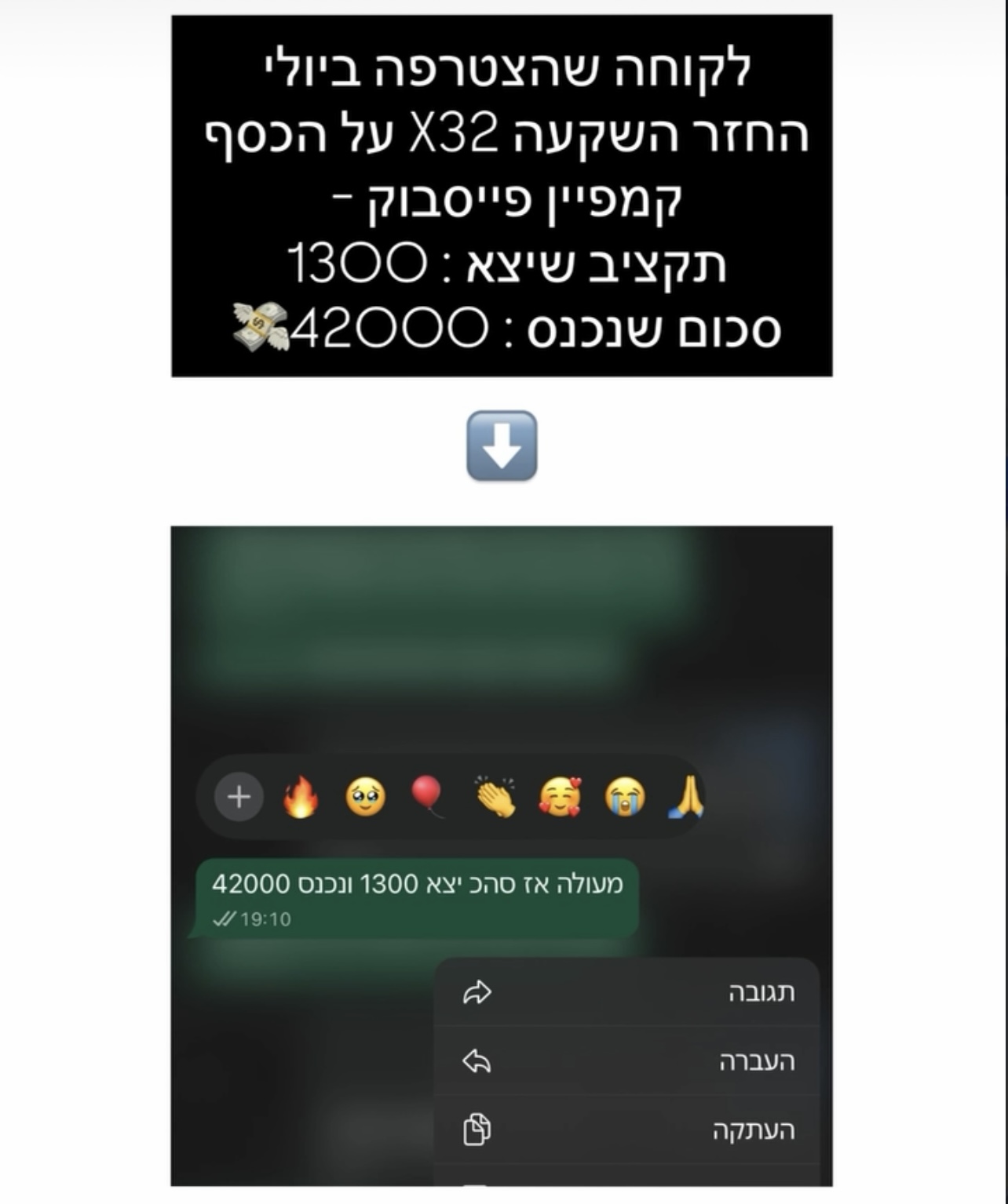 צילום מסך של קמפיין עם 1,300 שקלים הוצאה ו-42,000 שקלים הכנסה